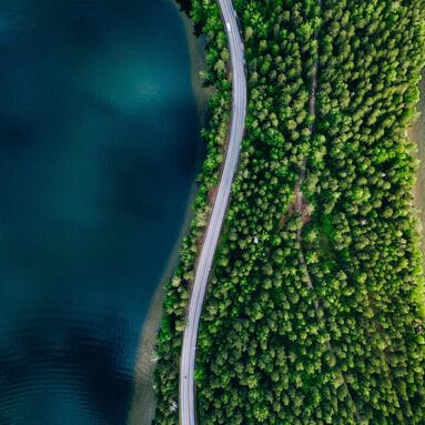 Road through green trees next to ocean