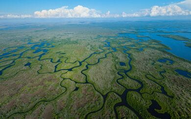 Aerial view of winding rivers flowing through green wetlands, symbolizing the interconnected pathways and evolving landscape of global energy transition.