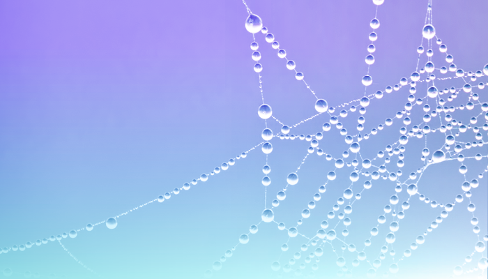 Digital Assets Summit 2025 - water bead banner image